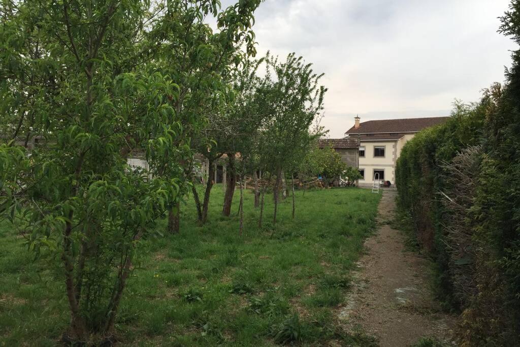 Casa Do Carballal Pontecesures Εξωτερικό φωτογραφία